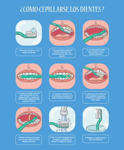 Cómo Cepillarse Los Dientes Correctamente - IMED Dental