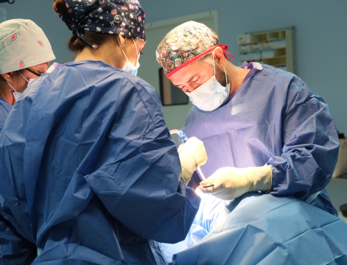 Implantes subperiósticos como alternativa a los implantes cigomáticos