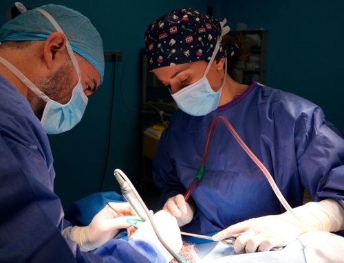Prótesis dental All-on-6