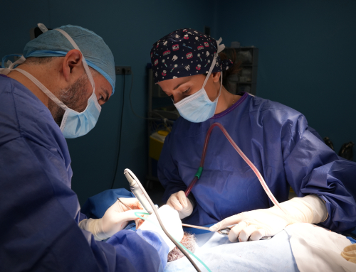 Prótesis dental All-on-6